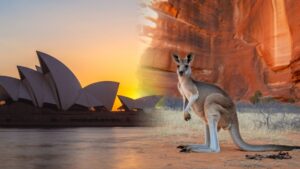 Nurse Info Sessions (FB Ad) (15)