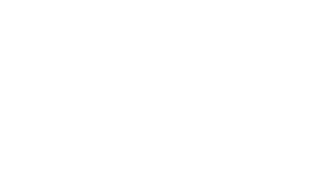 Boston Scientific Logo